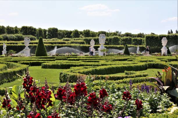 istock flowers in the garden 1251658284
