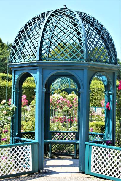 istock garden with flowers 1251658293