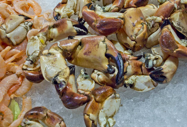 istock Raw crab claws at the fish market 1251660281