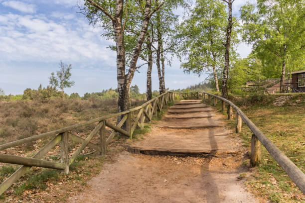 istock Steps going up the Lemelerberg hill in Overijssel 1251666101