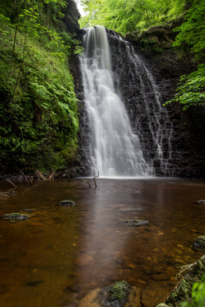 istock Large cascading waterfall tumbling into a peaceful pool. Falling foss waterfall, Yorkshire Dales 1251666531