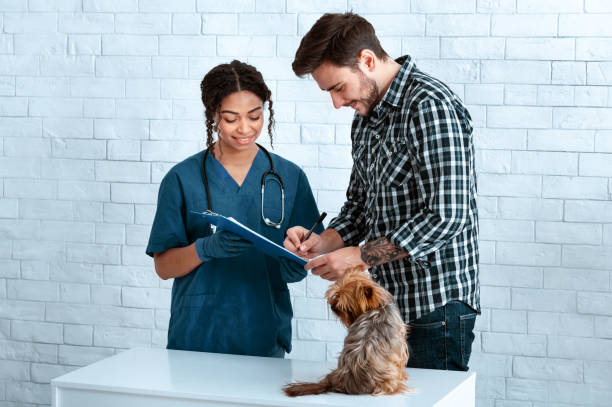istock Young owner with cute dog visiting veterinarian for annual checkup 1251667603
