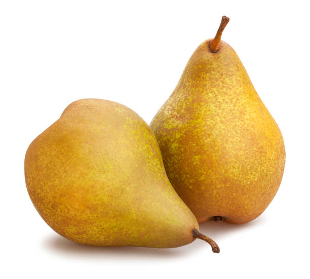 poire bosc - two pears photos et images de collection