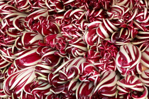 fond de laitue rouge fraîche appelée radicchio tardif typique de - radicchio photos et images de collection