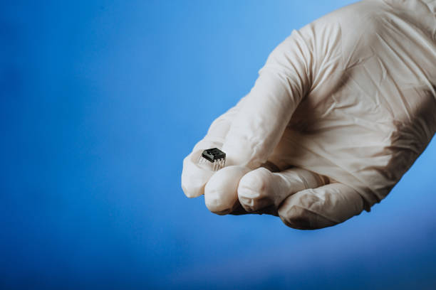 istock Hand in a white glove holds a chip 1251668466