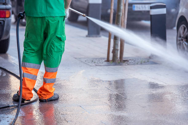 istock Professional cleaning and disinfection worker 1251669746