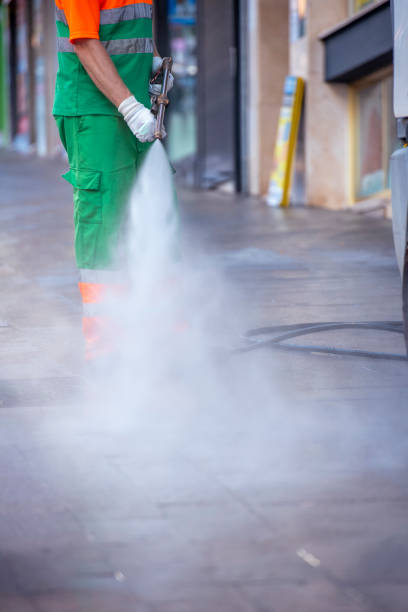 istock Professional cleaning and disinfection worker 1251669752