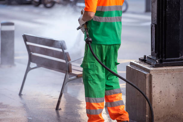 istock Professional cleaning and disinfection worker 1251669780