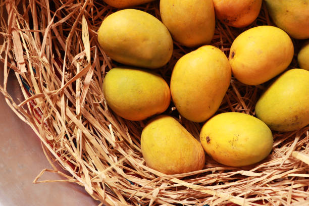 istock Mangoes Delicious Organic Healthy Fruit 1251669821