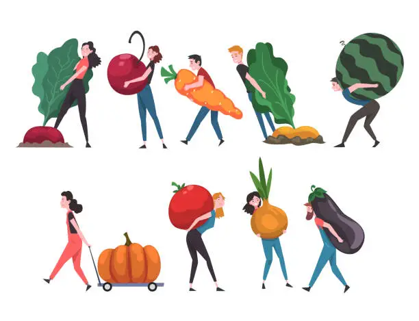 Vector illustration of People Carrying Giant Vegetables and Fruits, Male and Female Farmers Characters Harvesting Vector Illustration