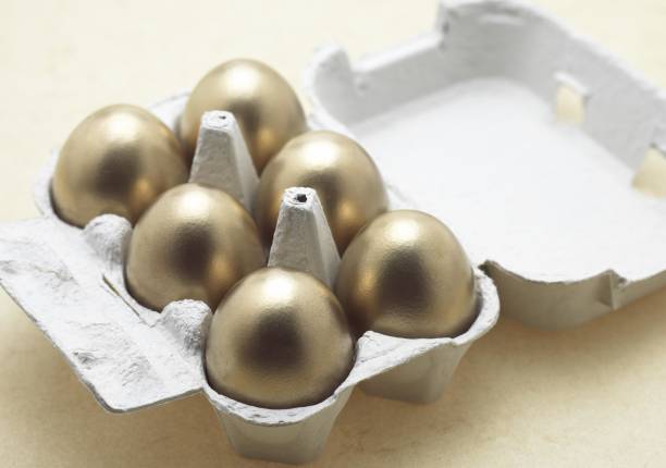 istock Chicken Eggs in Eggbox, Symbolic Image for Gold Egg with Hen 1251672822
