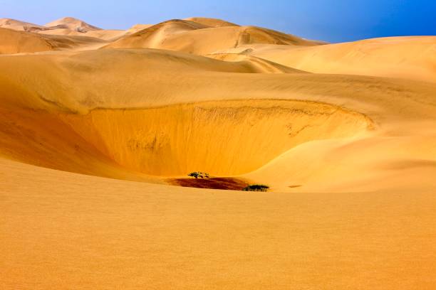 istock Sand Dunes near Walvis Bay in Namibia 1251673309