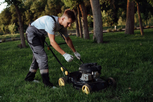 istock Turning on the lawn mower by gardener 1251674359