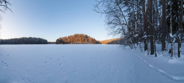 istock Evening on the frozen forest lake. 1251674973