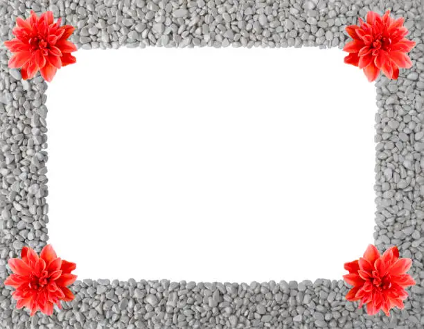 Summer or autumn frame made of grey stones,smooth pebbles,piles of rocks with orange flowers of Royal Dahlia in corners.Rectangular empty copy space.Close up nature design for mockup,presentation,text