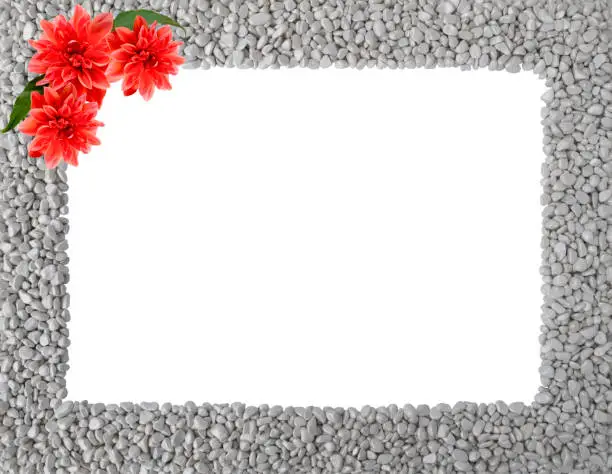 Summer or autumn frame made of grey stones,smooth pebbles,piles of rocks with orange flowers of Royal Dahlia,green leaves,in one corners.Rectangular empty copy space.Close up nature design for text