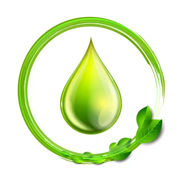 Vector illustration of Green glossy drop with green leaves isolated on white background, environment conceptual design.
