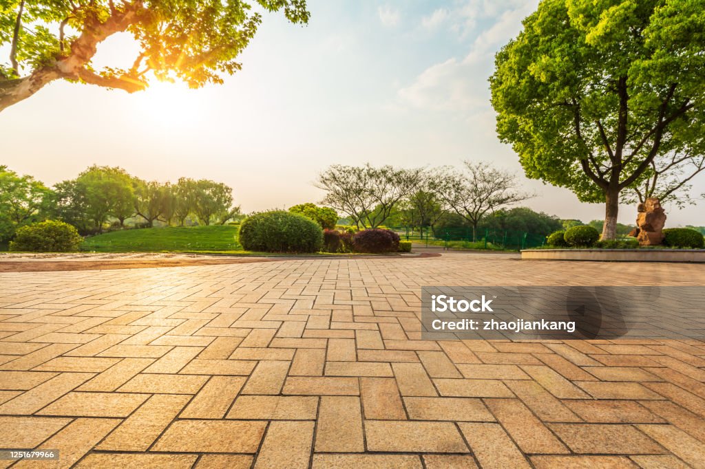 Empty floor and green forest in natural park. Empty square floor and green forest in natural park. Town Square Stock Photo