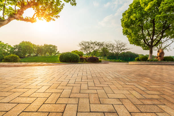 Empty floor and green forest in natural park. Empty square floor and green forest in natural park. town square stock pictures, royalty-free photos & images