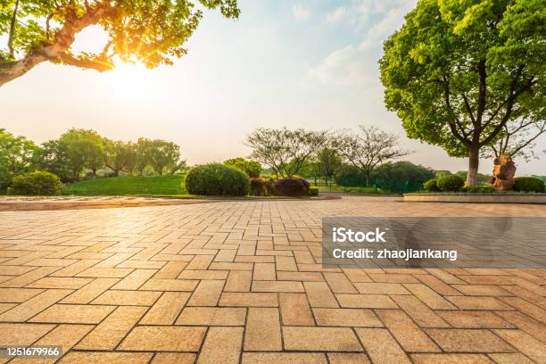 Empty Floor And Green Forest In Natural Park Stock Photo - Download Image Now - Town Square, Public Park, Flooring