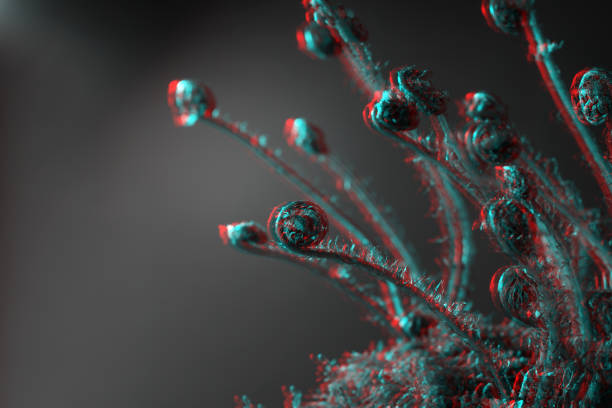 istock Young fern shoots on a black background 1251680263
