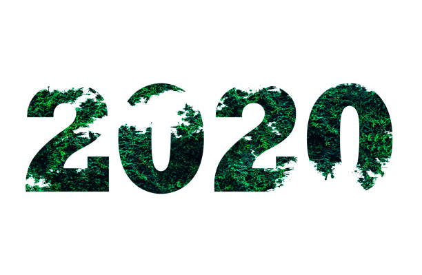 istock 2020 number from leaves isolated on white background. Eco-friendly concept. 1251681008