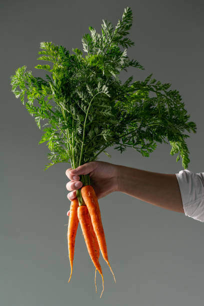 istock Bunch of fresh carrots in man’s hand. 1251682445