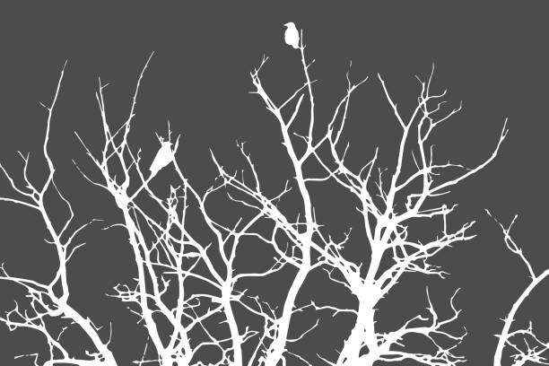 istock white silhouette for halloween on gray background, crows sitting on a tree in winter or autumn forest, dry trees, doodle style, vector illustration 1251684128