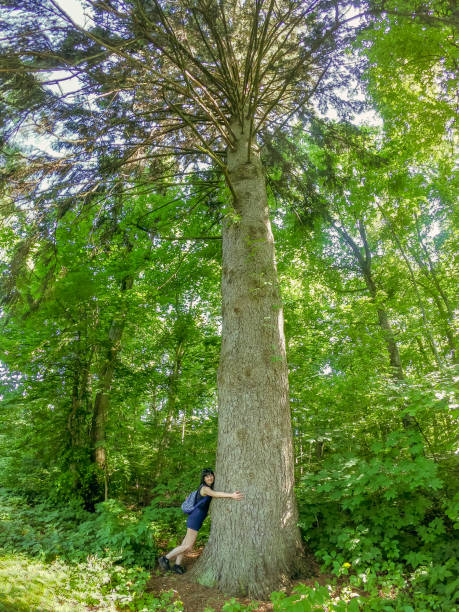 istock Wood. Girl hugs a huge old tree. 1251688059