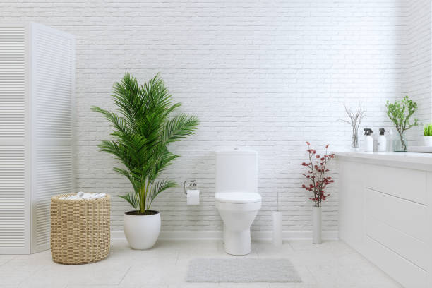White Toilet White Toilet Bowl In A Bathroom toilet paper photos stock pictures, royalty-free photos & images