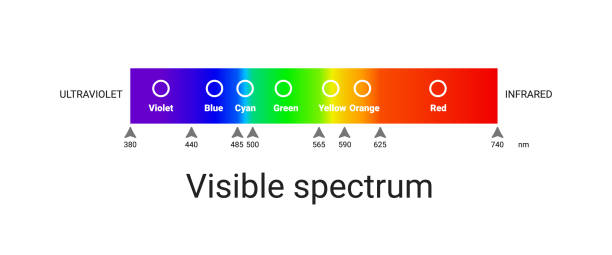 sichtbares spektrumlicht. infografik der sonnenwellenlänge. vektor - electromagnet stock-grafiken, -clipart, -cartoons und -symbole