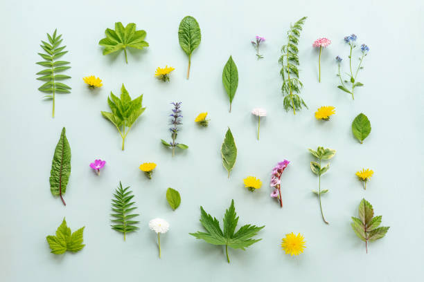 istock Floral pattern on blue. Leaves and flowers. 1251694445