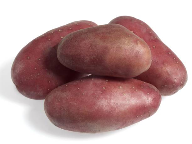 roseval potato, solanum tuberosum, gemüse gegen weiß hintergrund - roseval stock-fotos und bilder