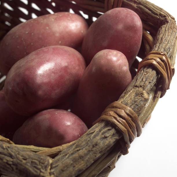 roseval potato, solanum tuberosum, gemüse im korb - roseval stock-fotos und bilder