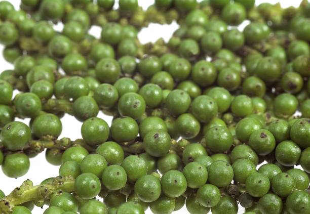 istock Fresh Green Peppercorn, Piper nigrum, Berries against White Background 1251700373