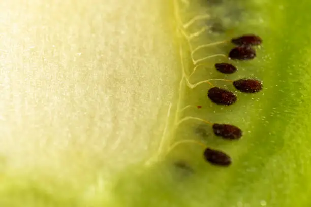 Detailed macro photo of a kiwi fruit