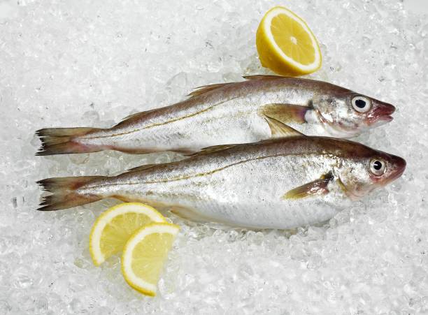 istock Fresh Whiting, merlangius merlangus, Fishes on Ice with Lemon 1251701483