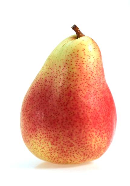 istock Rosemary Pear, pyrus communis, Fresh Fruit against White Background 1251702739