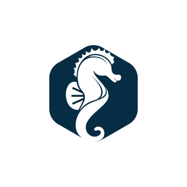 projekt logo wektora sea horse. - mammal hippocampus stock illustrations