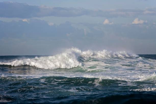 istock Waves, Coast at Hermanus in South Africa 1251706949