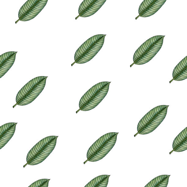istock seamless pattern with tropical banana leaves, tropical summer background for fabric, wrapping or wallpaper, cute hand drawn illustration 1251707728