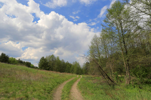 istock rut road across meadow 1251711491