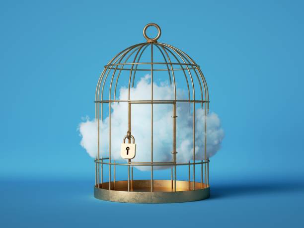 3d render, Abstract white cloud caged inside golden cage, isolated on blue background. 3d render, Abstract white fluffy cloud caged inside golden cage, isolated on blue background. prison lockdown stock pictures, royalty-free photos & images