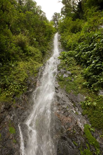 istock Waterfalls in Manu National Park in Peru 1251712994