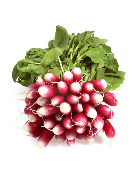 istock Pink Radish, raphanus sativus, Vegetable against White Background 1251715335