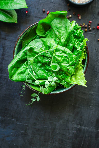 istock green salad spinach, arugula, lettuce, microgreen Menu serving size. food background top view copy space for text organic 1251716955
