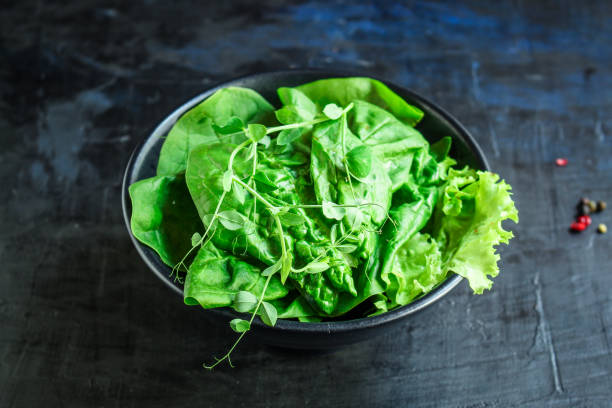 istock green salad spinach, arugula, lettuce, microgreen Menu serving size. food background top view copy space for text organic 1251716982
