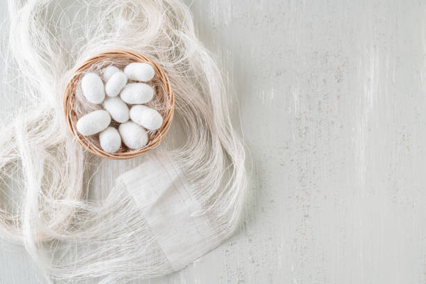 istock natural silkworm cocoons are source of silk thread, textile 1251718427
