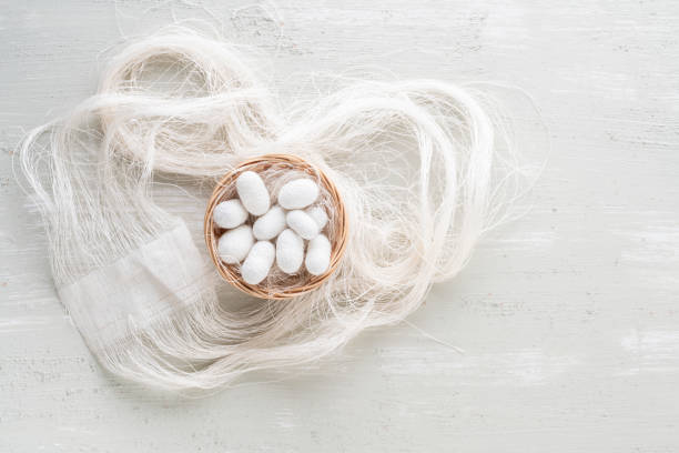 istock natural silkworm cocoons are source of silk thread 1251718428