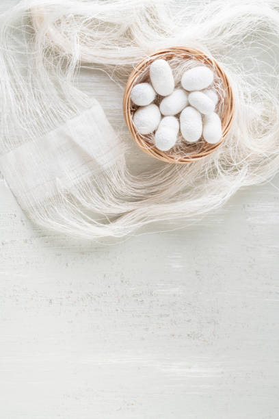 istock natural silkworm cocoons are source of silk thread, textile 1251718434